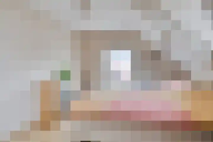 Oude Zeedijk 8 Sint-Annaland thumbnail 23
