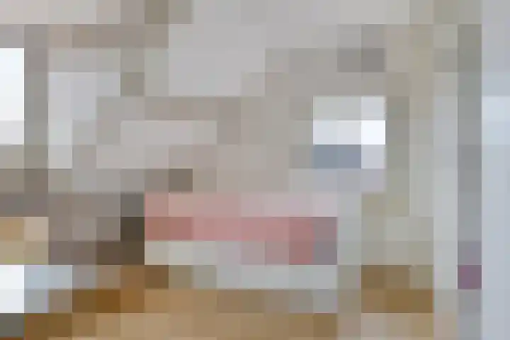 Oude Zeedijk 8 Sint-Annaland thumbnail 27