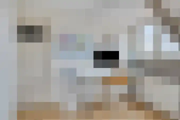 Oude Zeedijk 8 Sint-Annaland thumbnail 28