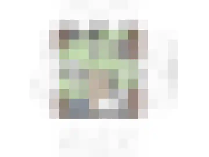 Oude Zeedijk 8 Sint-Annaland thumbnail 31