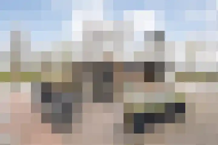 Oude Zeedijk 8 Sint-Annaland thumbnail 35