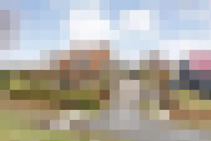 Oude Zeedijk 8 Sint-Annaland thumbnail 4
