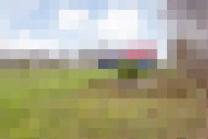 Oude Zeedijk 8 Sint-Annaland thumbnail 41