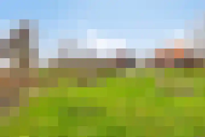 Oude Zeedijk 8 Sint-Annaland thumbnail 56