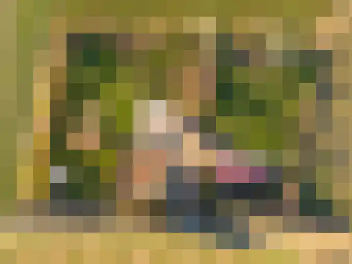 Oude Zeedijk 8 Sint-Annaland thumbnail 57