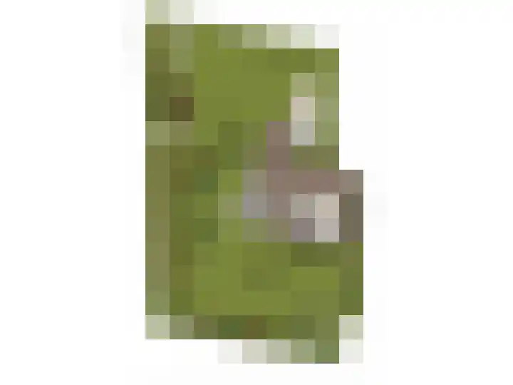 Oude Zeedijk 8 Sint-Annaland thumbnail 58