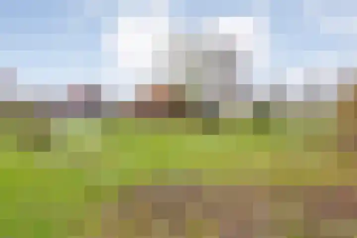 Oude Zeedijk 8 Sint-Annaland thumbnail 59