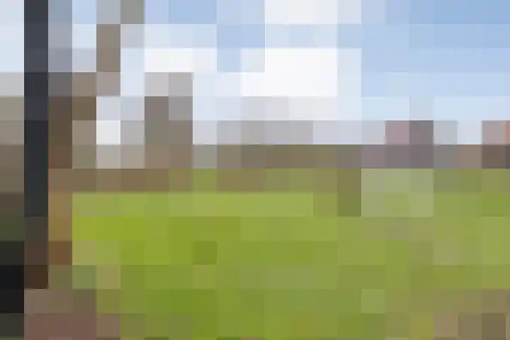 Oude Zeedijk 8 Sint-Annaland thumbnail 60