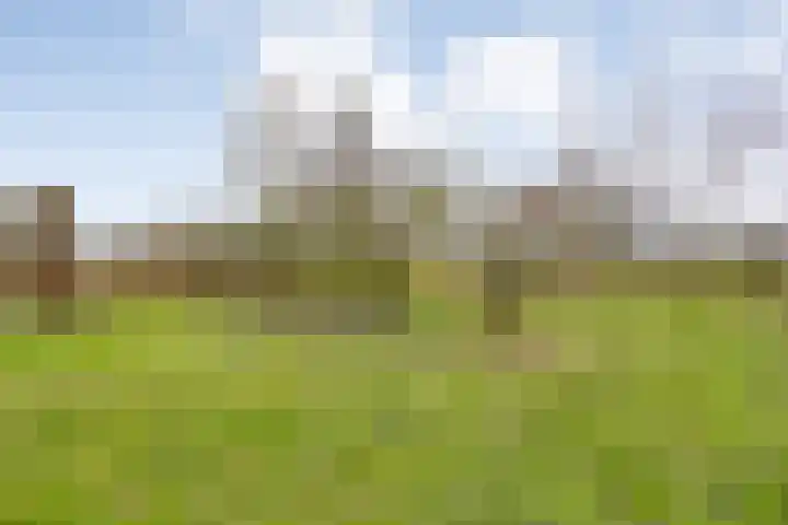 Oude Zeedijk 8 Sint-Annaland thumbnail 61