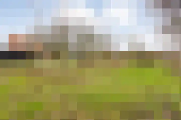 Oude Zeedijk 8 Sint-Annaland thumbnail 62