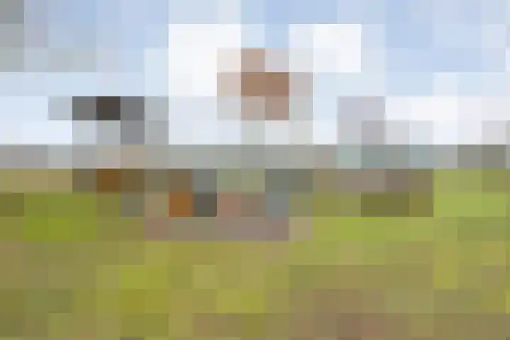 Oude Zeedijk 8 Sint-Annaland thumbnail 63