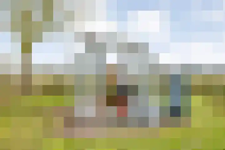 Oude Zeedijk 8 Sint-Annaland thumbnail 64