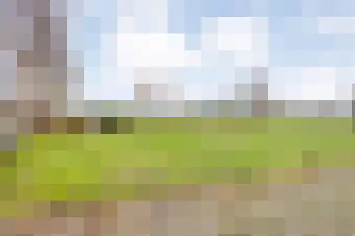 Oude Zeedijk 8 Sint-Annaland thumbnail 66