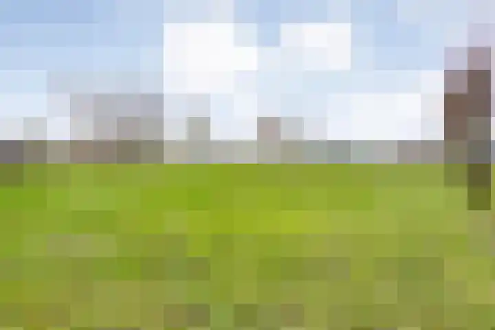 Oude Zeedijk 8 Sint-Annaland thumbnail 67