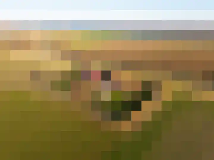 Oude Zeedijk 8 Sint-Annaland thumbnail 71