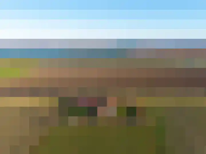 Oude Zeedijk 8 Sint-Annaland thumbnail 72