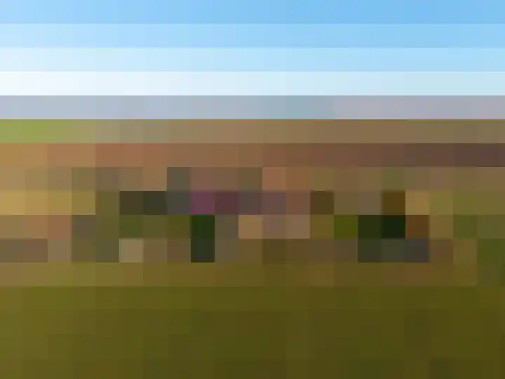 Oude Zeedijk 8 Sint-Annaland thumbnail 73