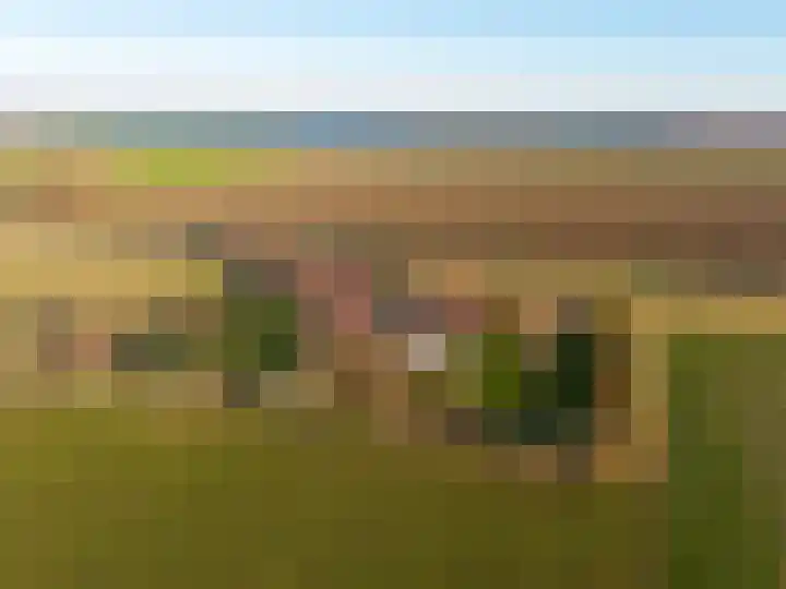 Oude Zeedijk 8 Sint-Annaland thumbnail 74