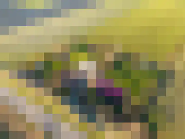 Oude Zeedijk 8 Sint-Annaland thumbnail 77
