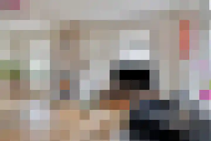 Oude Zeedijk 8 Sint-Annaland thumbnail 8
