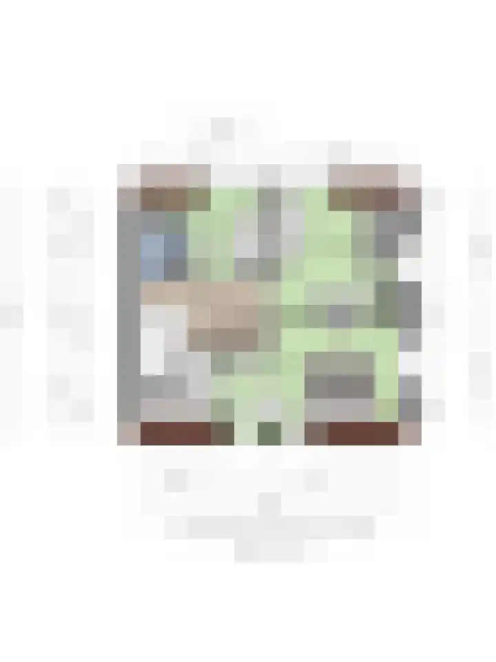 Oude Zeedijk 8 Sint-Annaland thumbnail 81