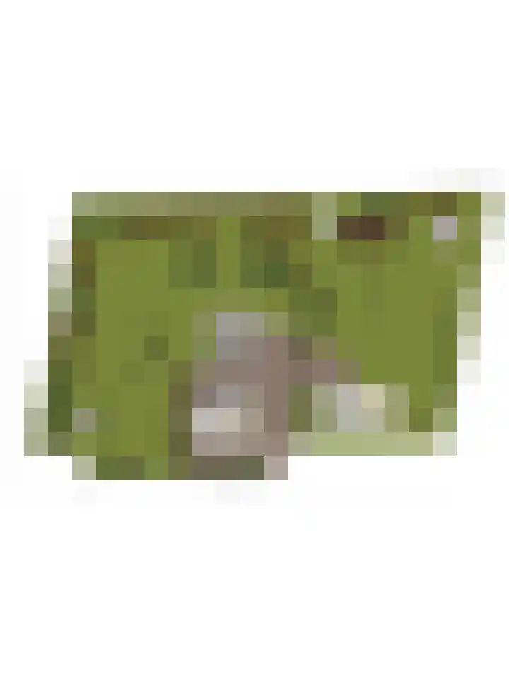 Oude Zeedijk 8 Sint-Annaland thumbnail 84