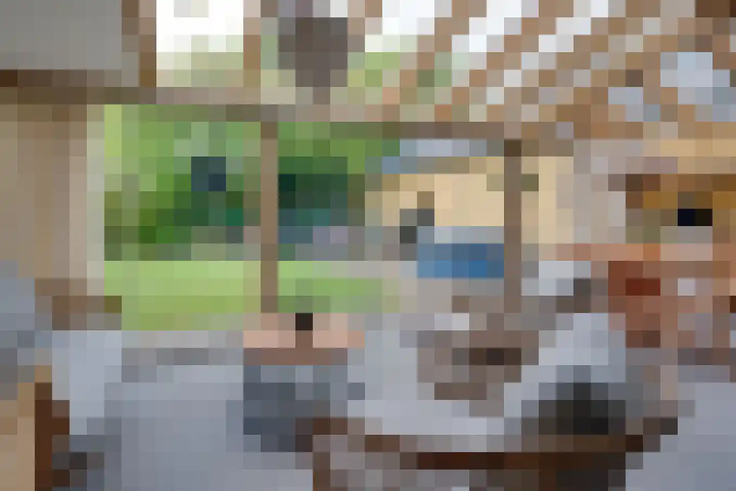 Oude Zeegserweg 12 Zuidlaren thumbnail 10