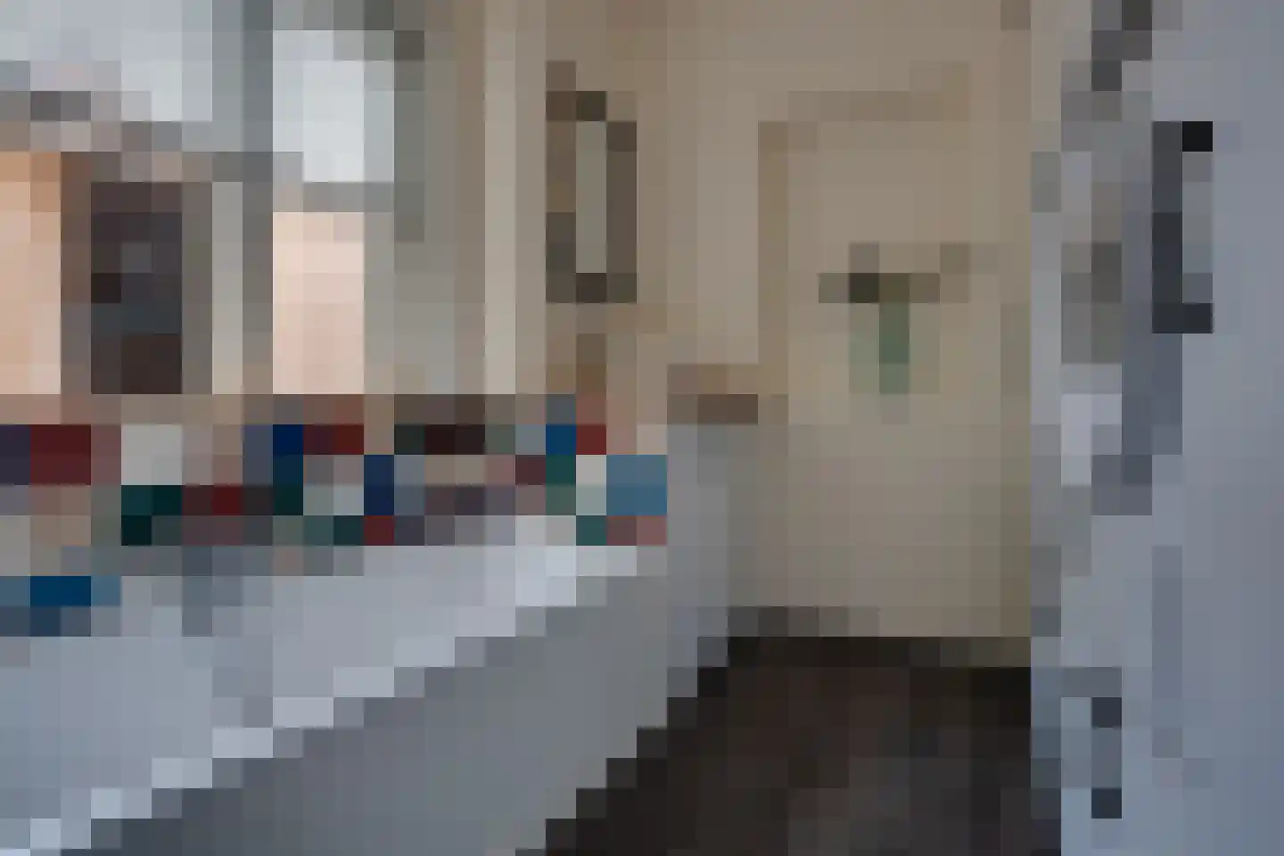 Oude Zeegserweg 12 Zuidlaren thumbnail 19