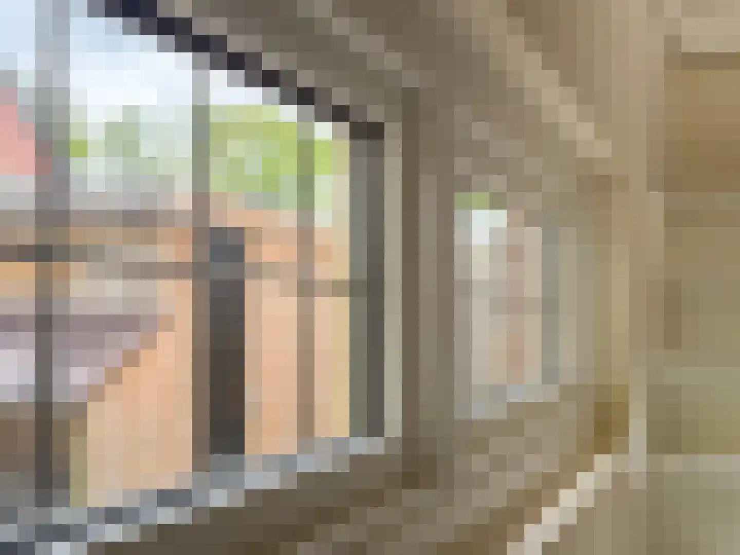 Oude Zeegserweg 12 Zuidlaren thumbnail 22