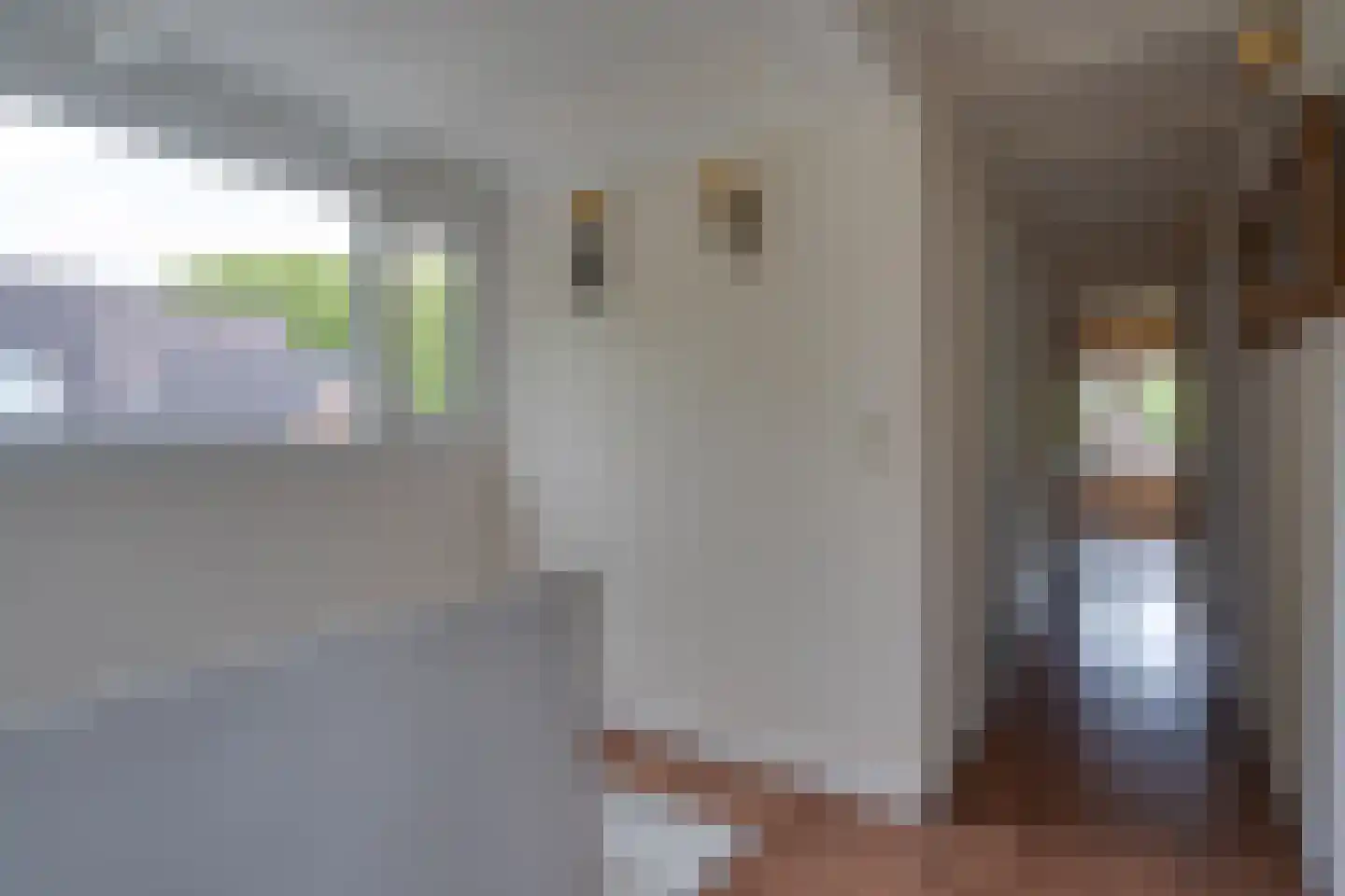 Oude Zeegserweg 12 Zuidlaren thumbnail 24
