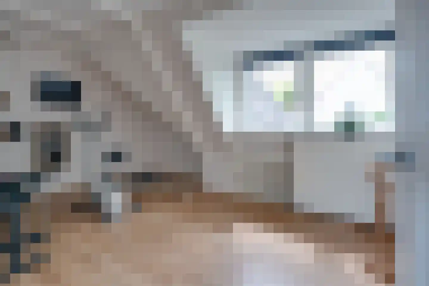 Oude Zeegserweg 12 Zuidlaren thumbnail 27