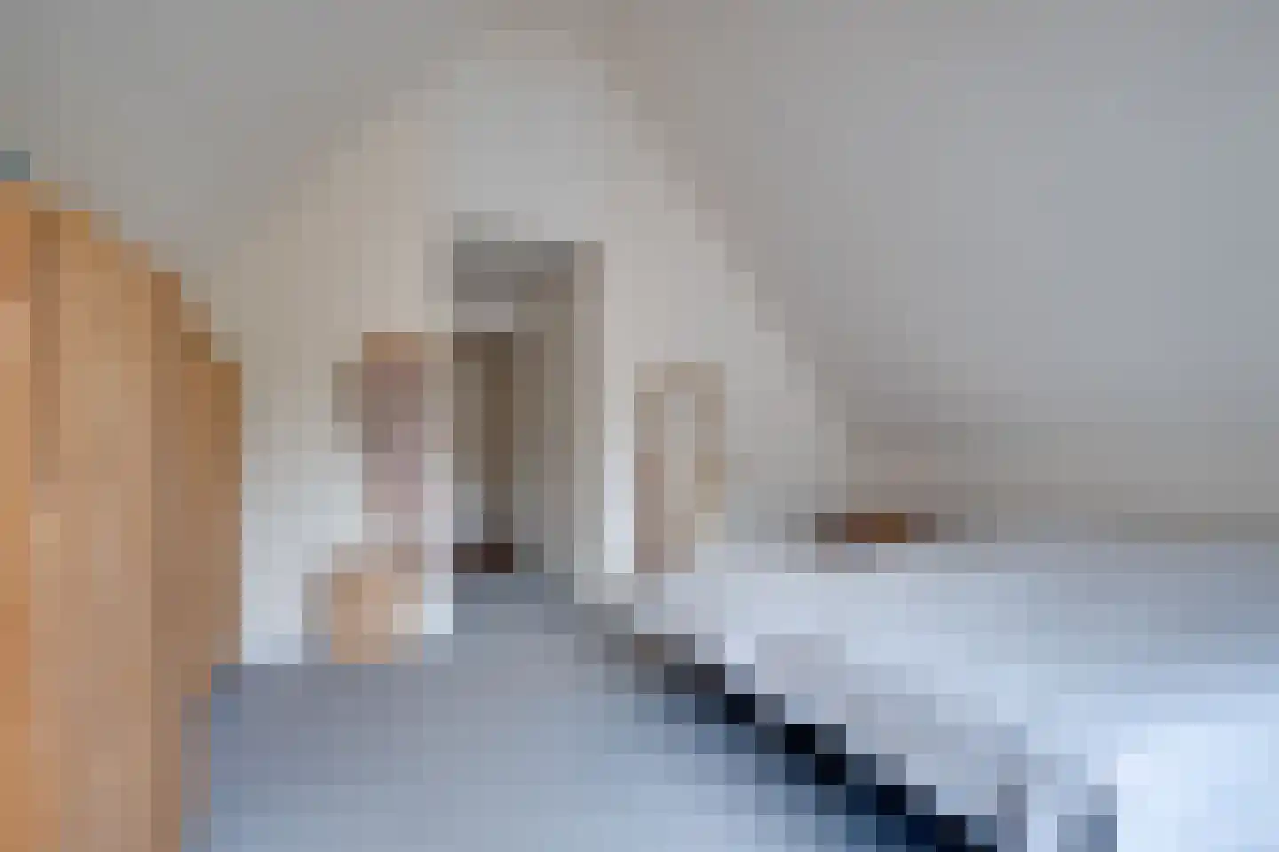 Oude Zeegserweg 12 Zuidlaren thumbnail 28