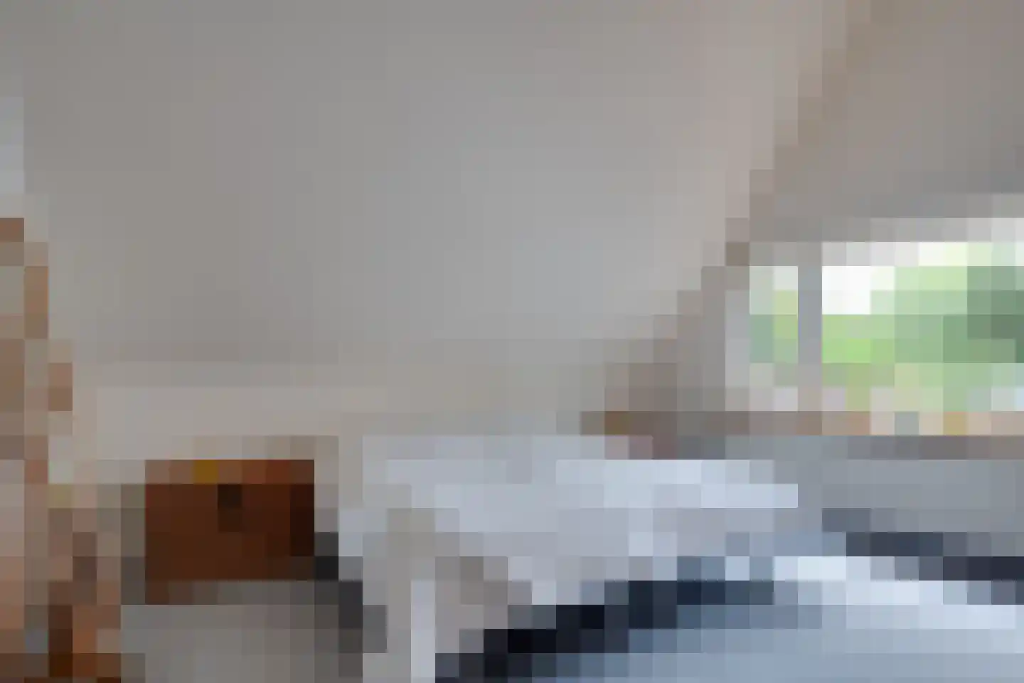 Oude Zeegserweg 12 Zuidlaren thumbnail 29