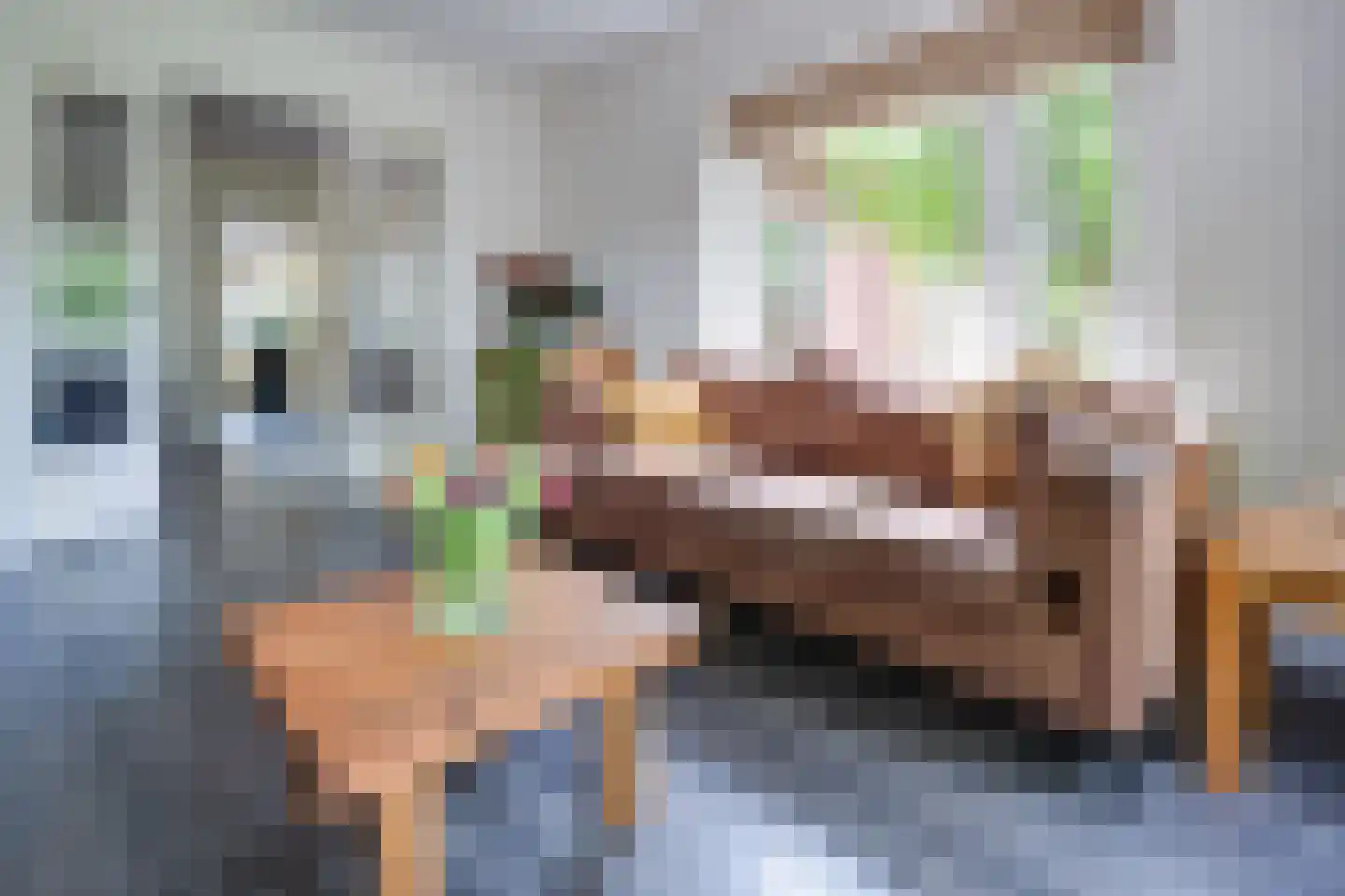 Oude Zeegserweg 12 Zuidlaren thumbnail 4