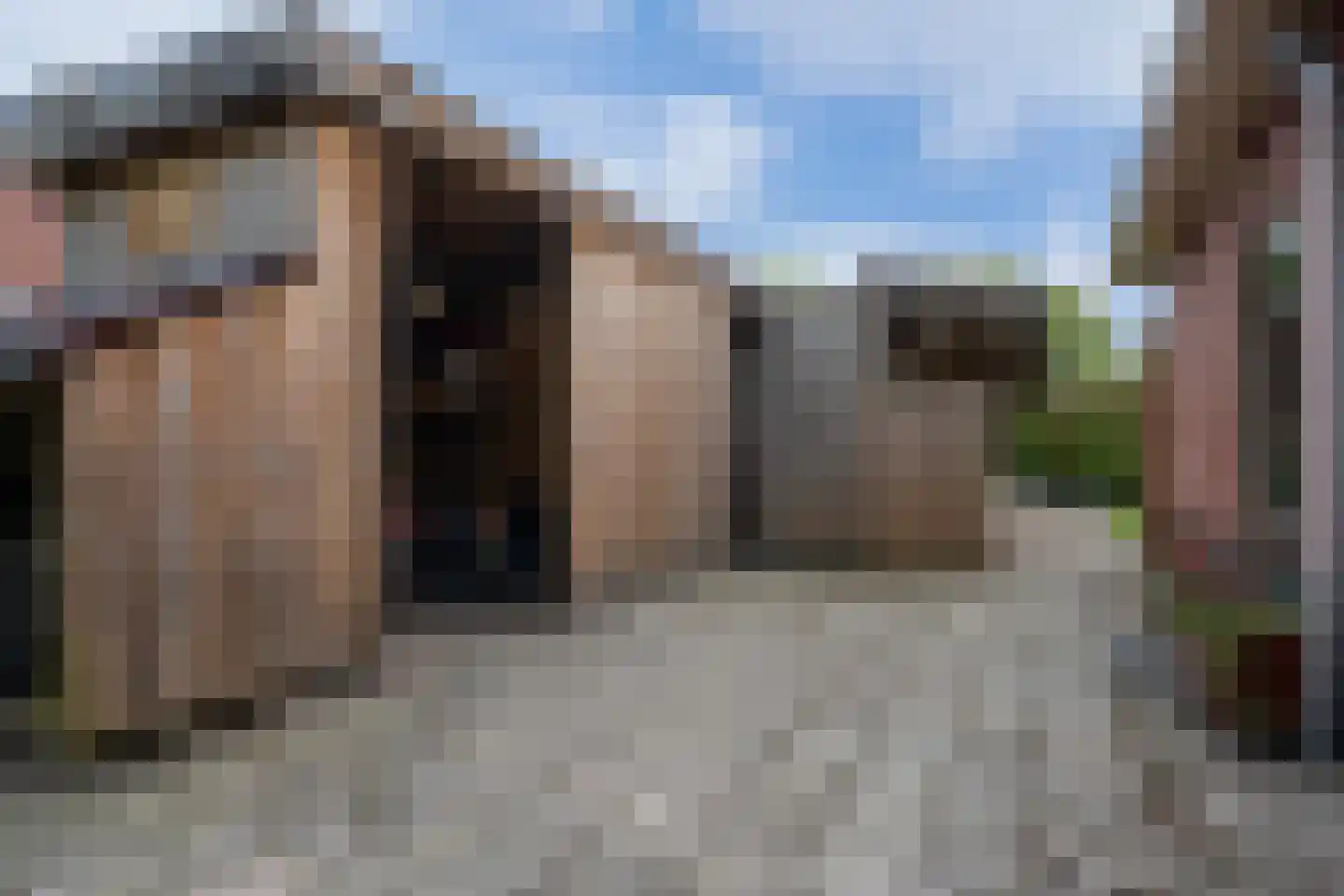 Oude Zeegserweg 12 Zuidlaren thumbnail 44