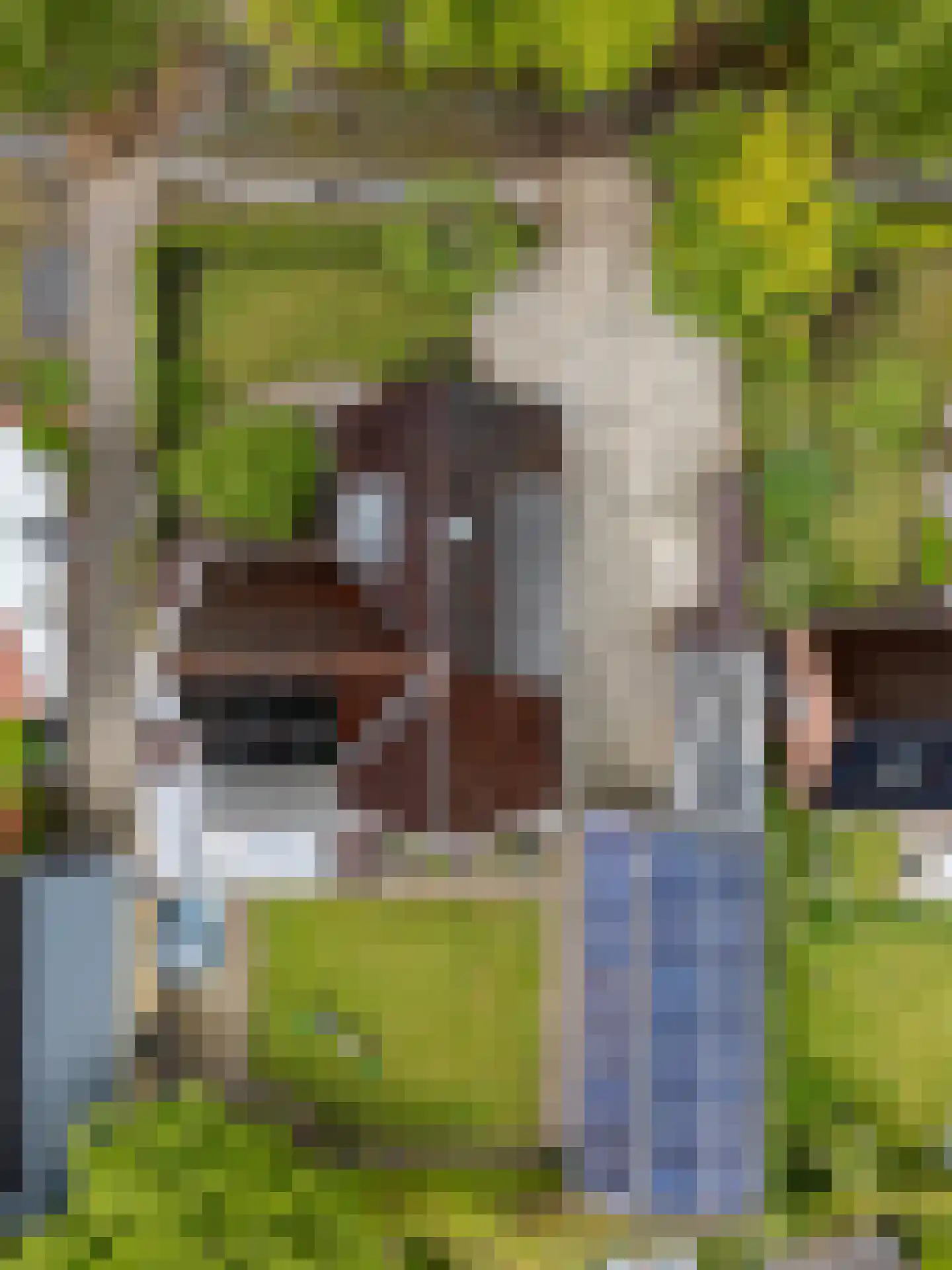 Oude Zeegserweg 12 Zuidlaren thumbnail 46