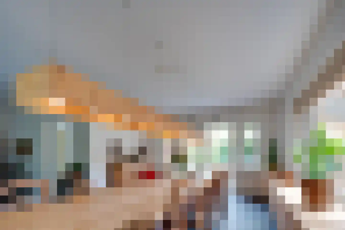 Oude Zeegserweg 12 Zuidlaren thumbnail 7