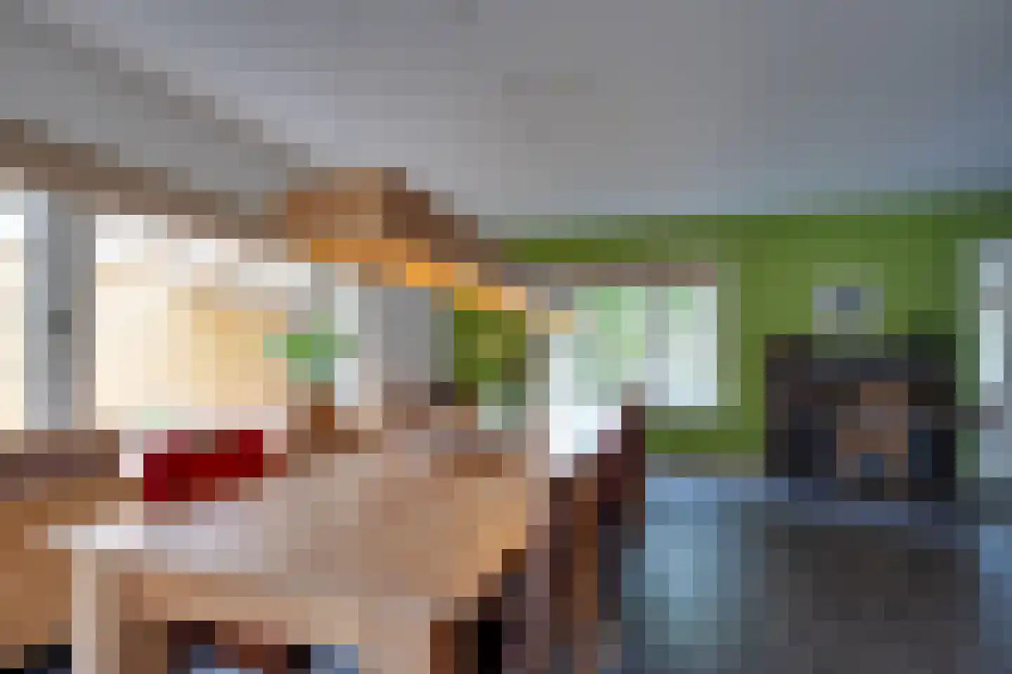 Oude Zeegserweg 12 Zuidlaren thumbnail 8