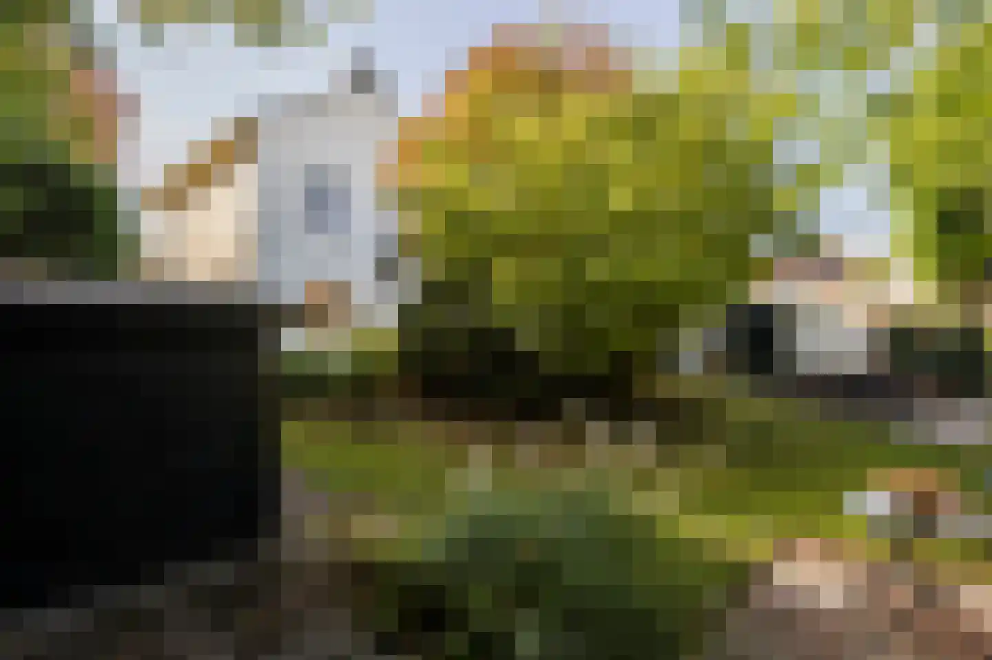 Oude Zeeweg 18 Noordwijk thumbnail 28