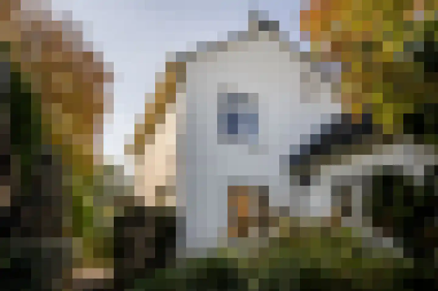 Oude Zeeweg 18 Noordwijk thumbnail 30