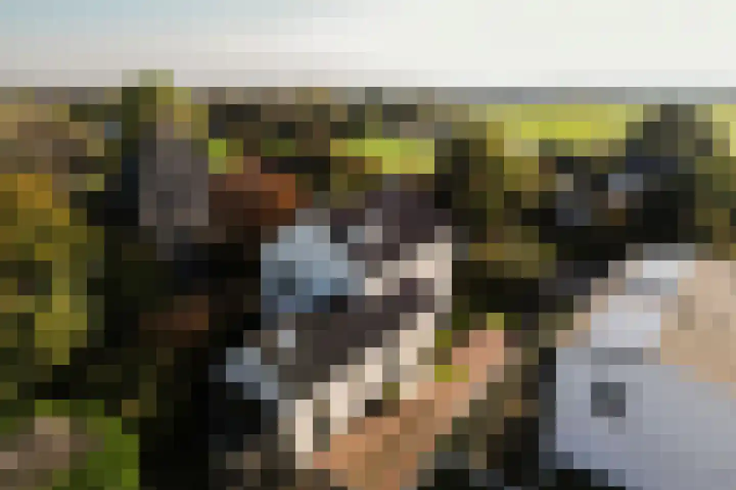 Oude Zeeweg 18 Noordwijk thumbnail 5