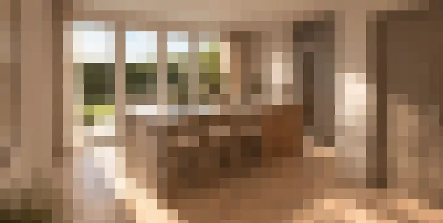 Oude Zeeweg 44 B Noordwijk thumbnail 12
