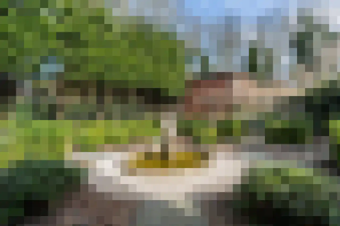 Oude Zeeweg 44 B Noordwijk thumbnail 31