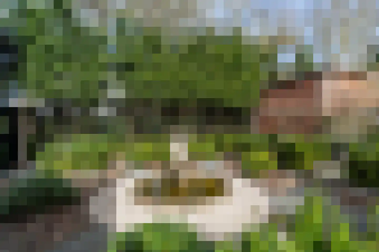 Oude Zeeweg 44 B Noordwijk thumbnail 32