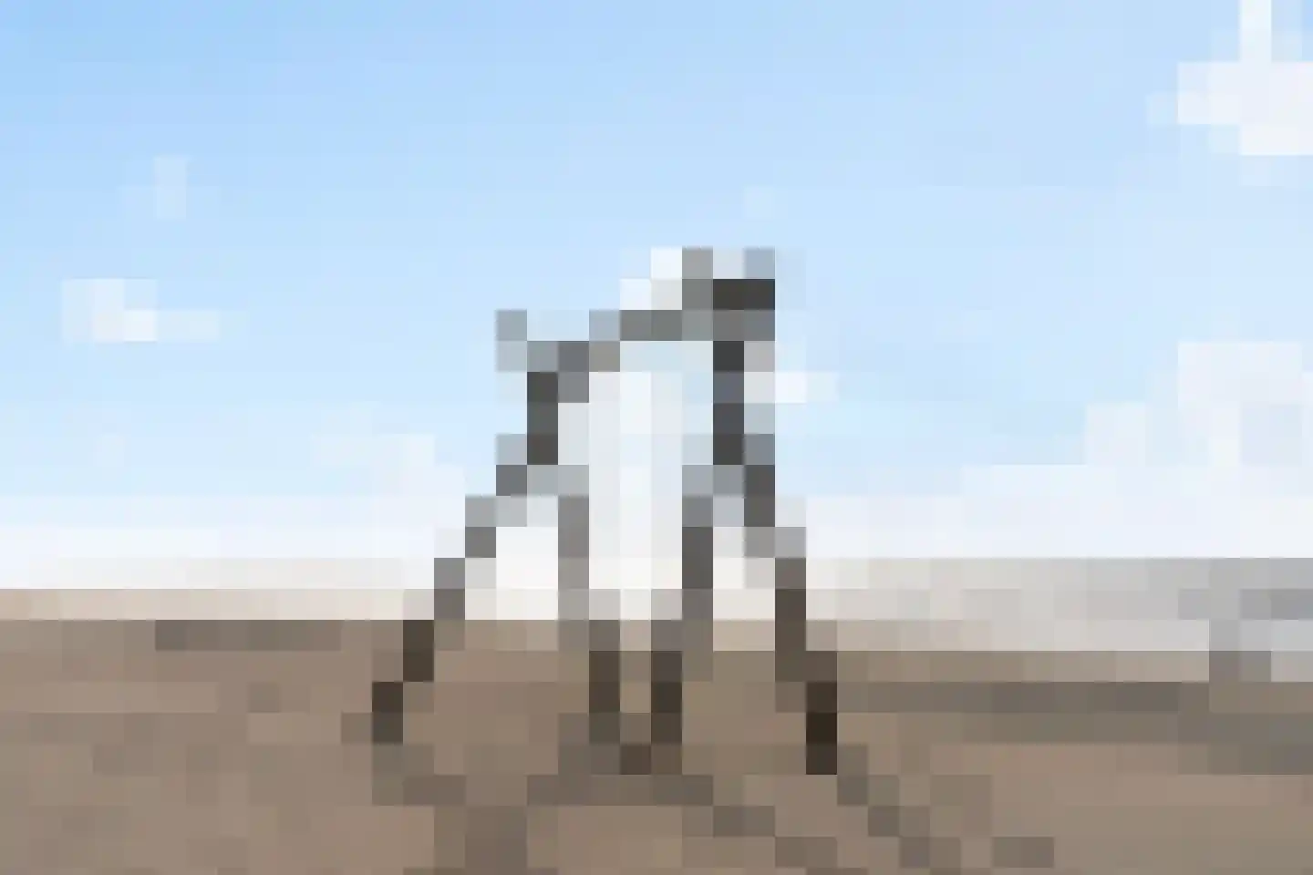 Oude Zeeweg 44 B Noordwijk thumbnail 47