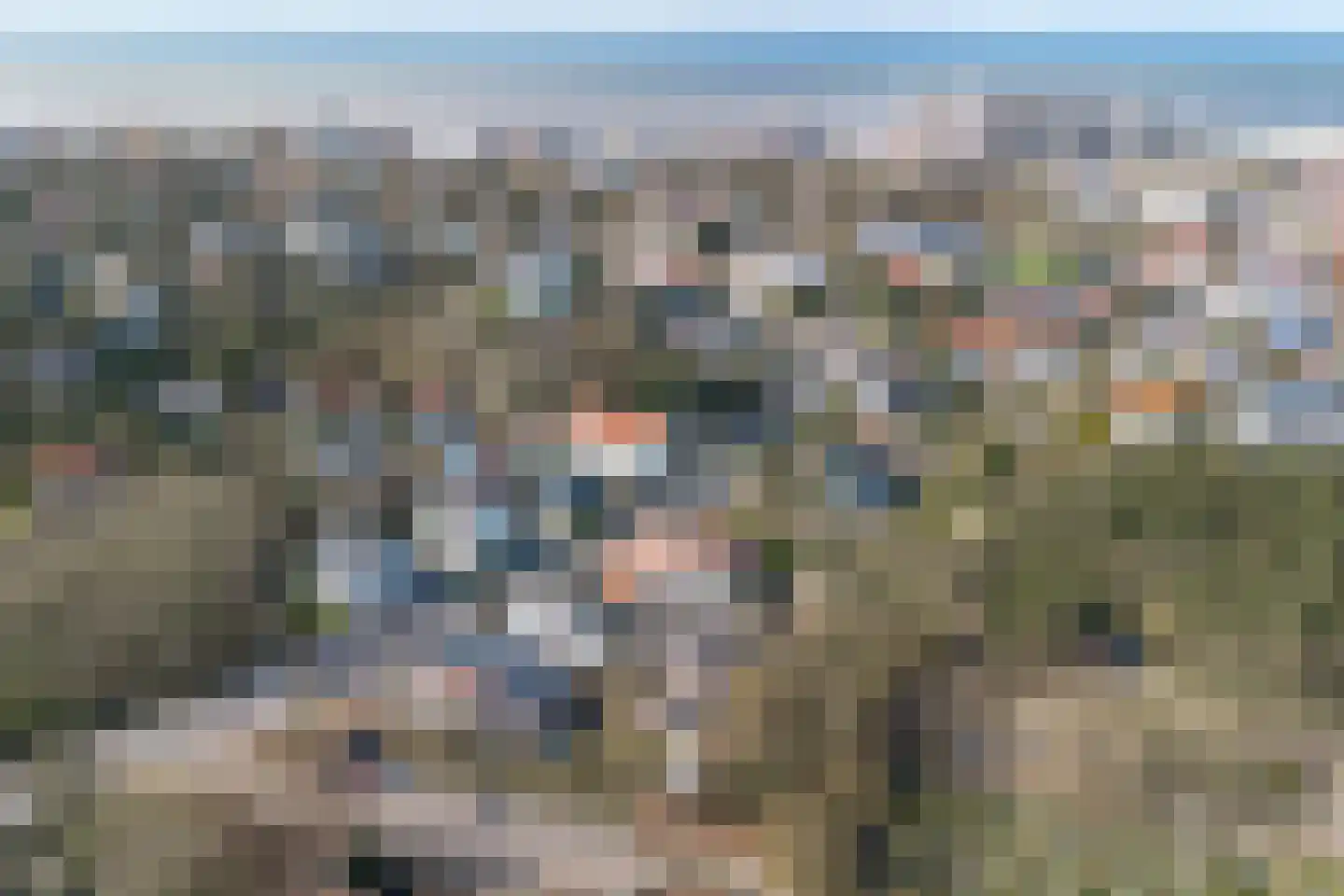 Oude Zeeweg 44 Noordwijk thumbnail 16