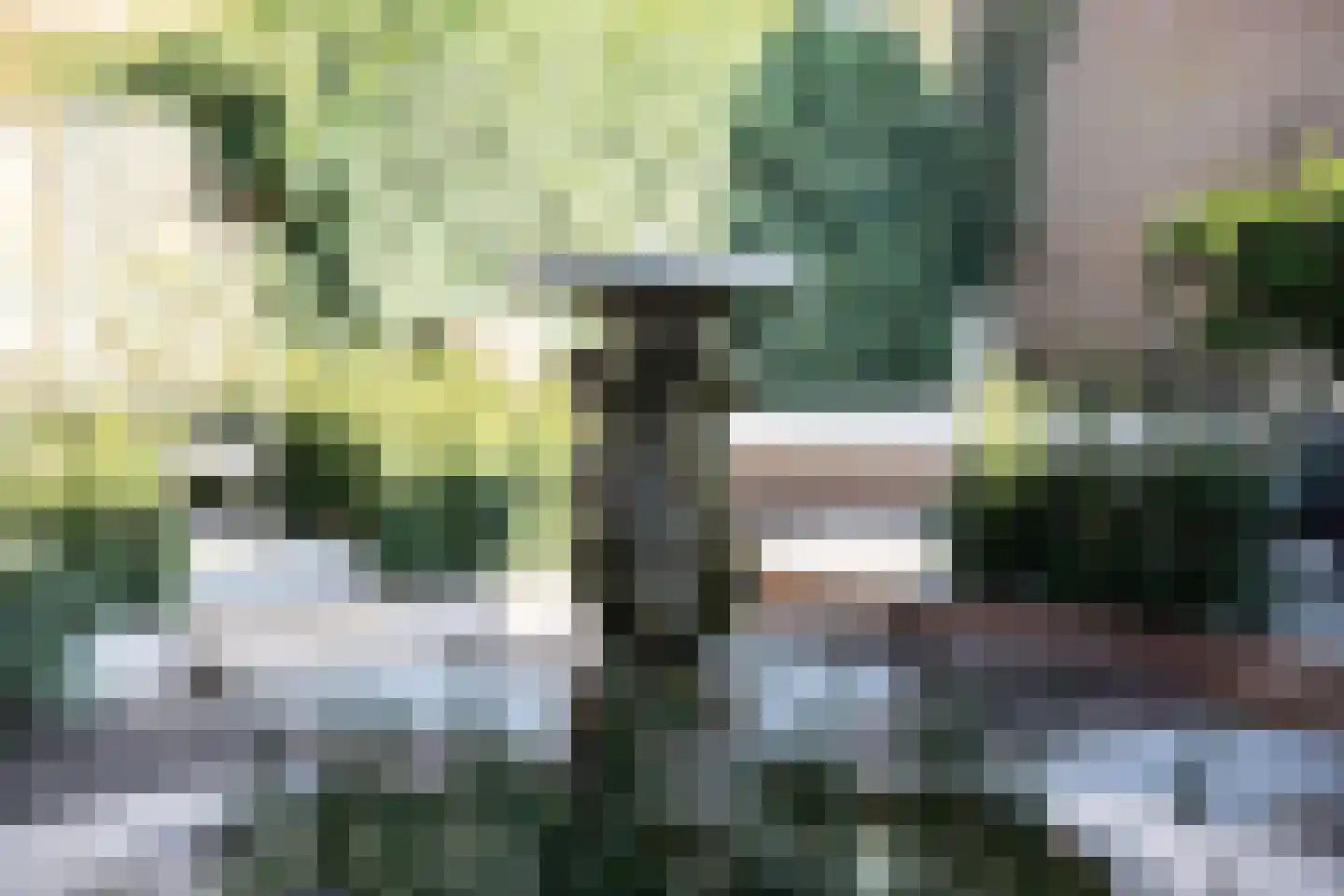 Oude Zeeweg 44 Noordwijk thumbnail 20