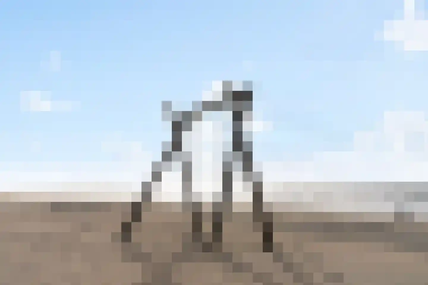 Oude Zeeweg 44 Noordwijk thumbnail 24
