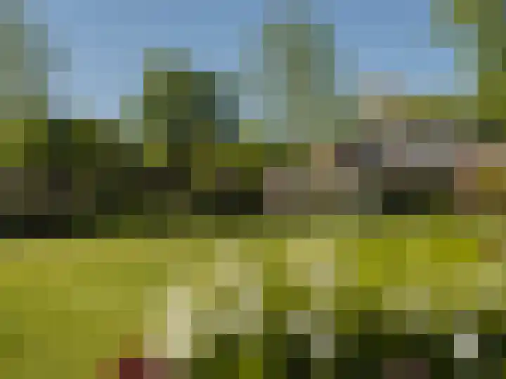 Oude Zeeweg 5 Noordwijk thumbnail 5