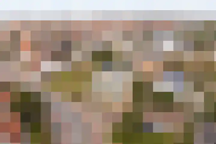 Oude Zeeweg 78 D Noordwijk thumbnail 32